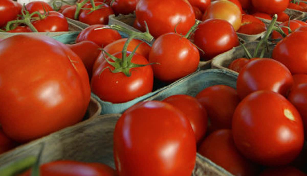 importación tomates