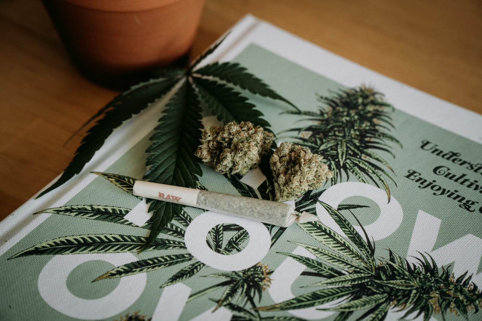 Consumo de cannabis y psicosis