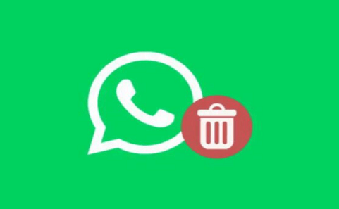 Recuperar archivos de WhatsApp