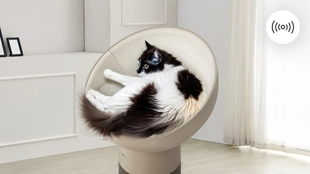 Alergia Gatos