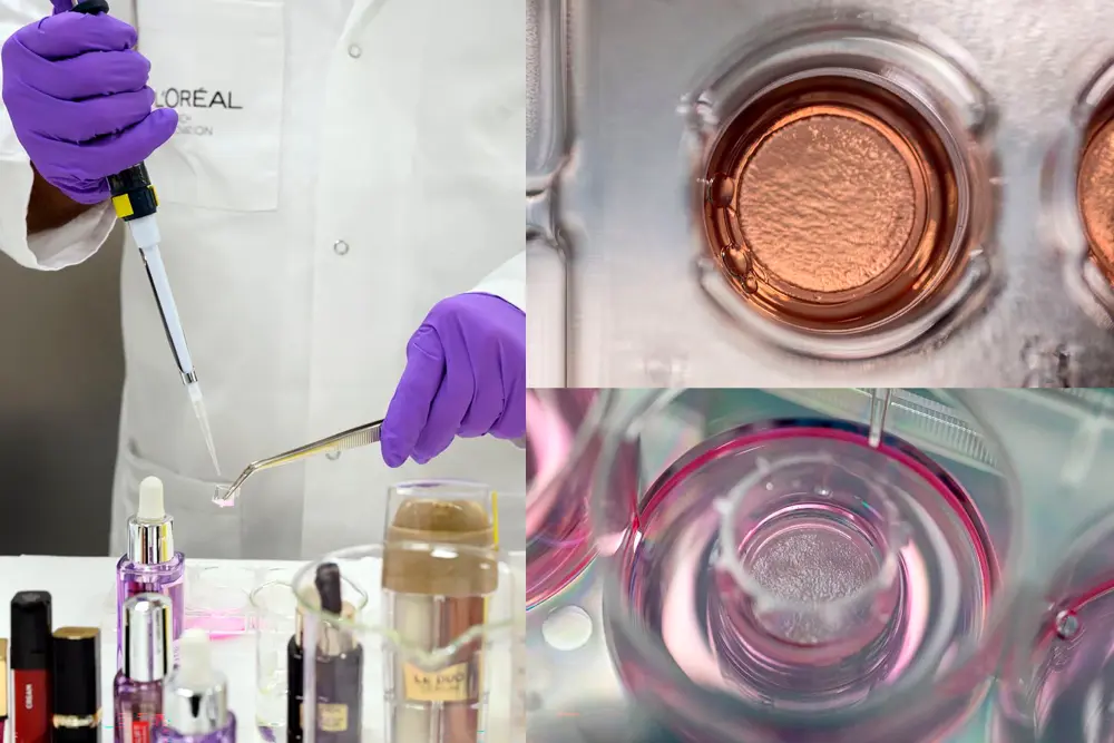 ciencia y tecnología