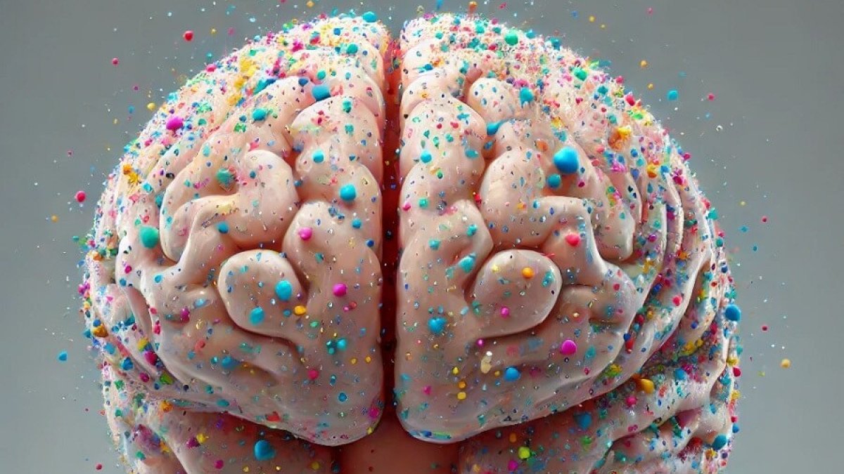 microplásticos en el cerebro