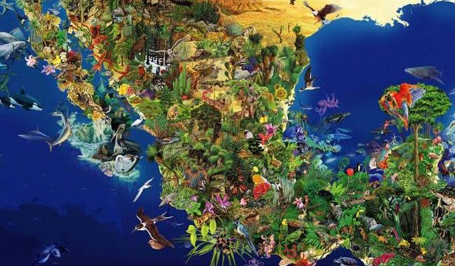 América cuidado fauna silvestre