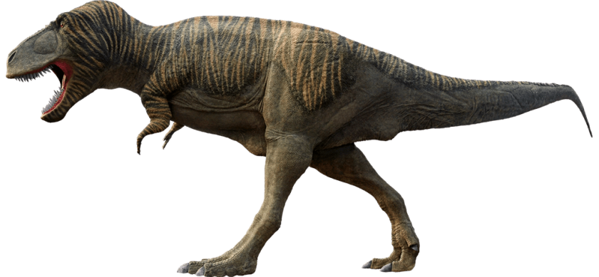 evolución T. Rex