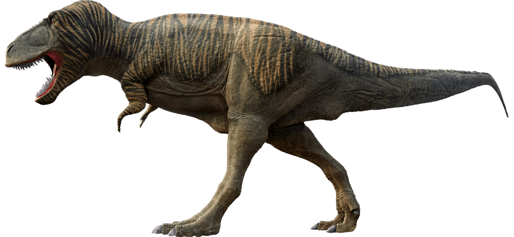 evolución T. Rex