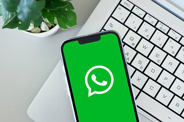 WhatsApp México
