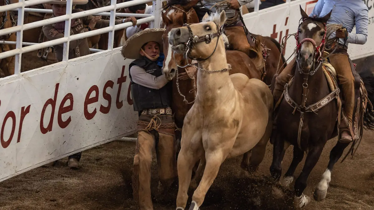 caballos pueden detectar el miedo