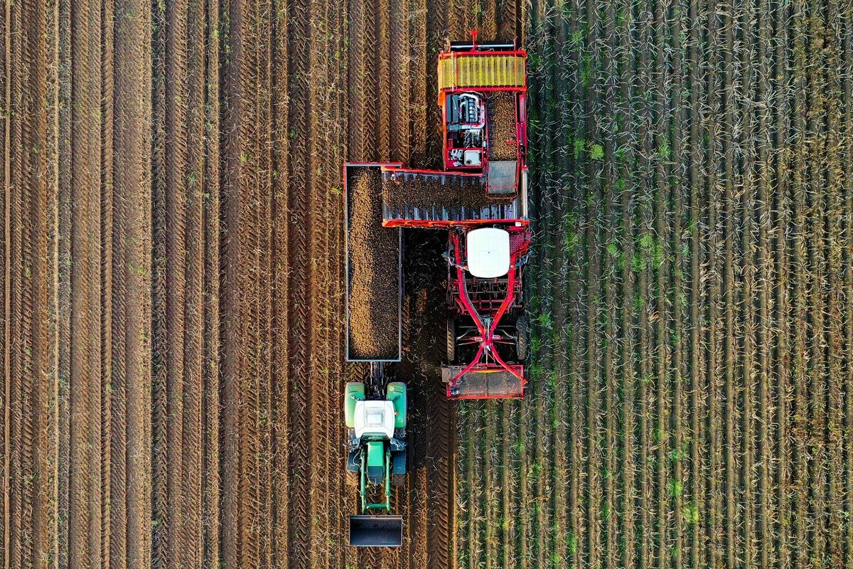 explotaciones agrícolas
