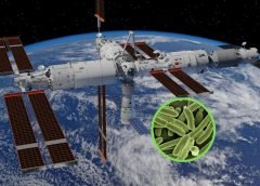 Científicos chinos descubren una superbacteria mutada en su estación espacial