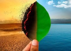 Naciones Unidas emite nuevo informe sobre los efectos actuales de la crisis climática