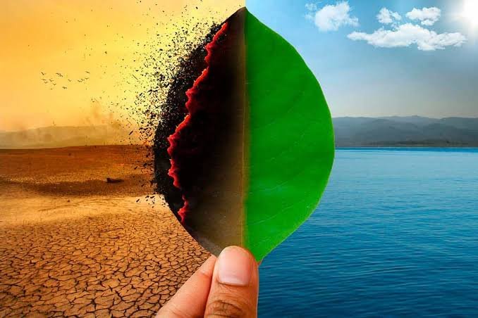 crisis climática