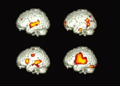 ¡Fascinante descubrimiento! Así procesa la gramática tu mente al hablar dos idiomas