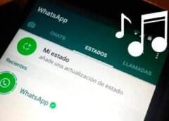 WhatsApp se independiza en el iPad y permite compartir música en los estados desde Spotify y Apple Music