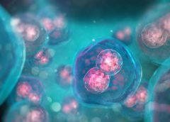 Científicos crean una célula sintética capaz de crecer y replicarse por primera vez
