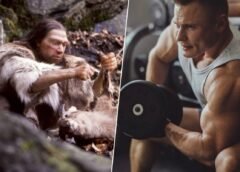 Científicos descubren que el ADN neandertal aumenta la masa muscular humana moderna