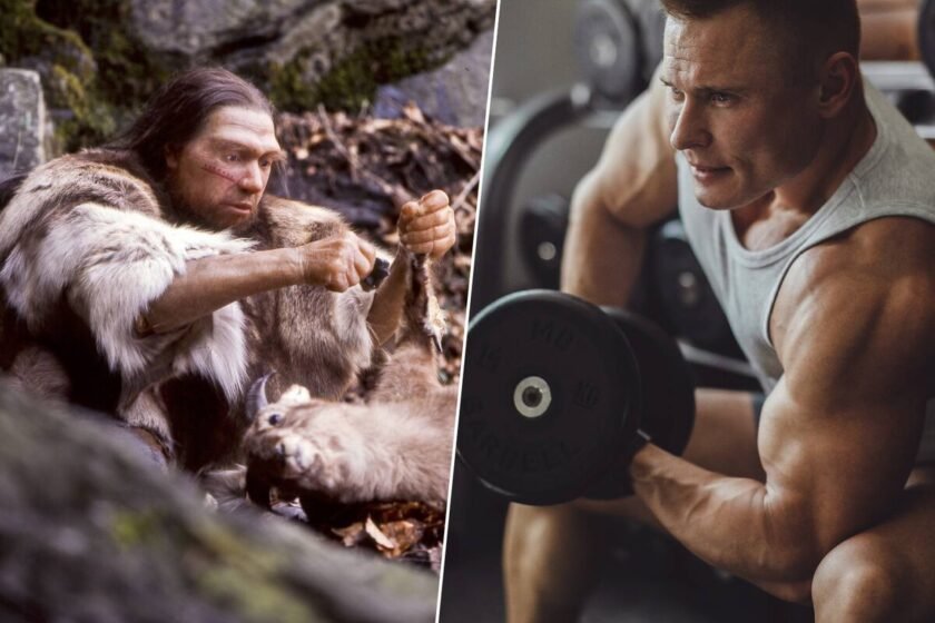 ADN neandertal