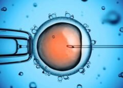 Científicos logran histórico avance en la edición genética de embriones humanos