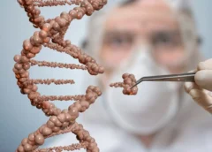 Científicos logran crear y validar un alfabeto genético ampliado en laboratorio
