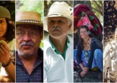 Colombia y Brasil encabezan el 85% de los asesinatos de ambientalistas