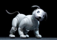 Ni paseo ni veterinario: los robots con IA que prometen sustituir a las mascotas tradicionales