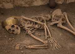 Estudios biotecnológicos demuestran el activo papel de la mujer en la caza prehistórica