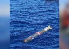 Hallan un torpedo de prácticas de Estados Unidos flotando frente a las costas de Ensenada