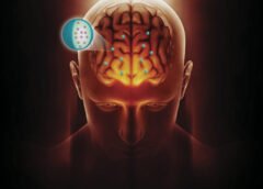 Científicos de la UNAM crean nanovehículos para transportar fármacos al cerebro Científicos de la UNAM crean nanovehículos para transportar fármacos al cerebro