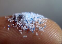 Investigación revela que los microplásticos generan reacciones químicas dañinas al contacto con el agua y la sangre Investigación revela que los microplásticos generan reacciones químicas dañinas al contacto con el agua y la sangre