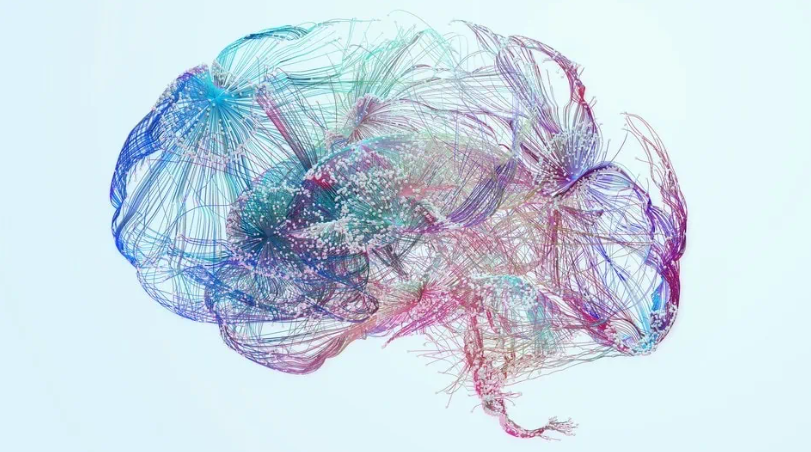 TikTok y cerebro
