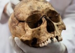 Cráneos de 5,000 años confirman sacrificios humanos en Egipto Cráneos de 5,000 años confirman sacrificios humanos en Egipto