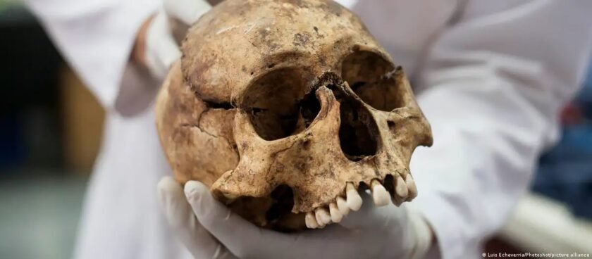 Cráneos sacrificios humanos Egipto