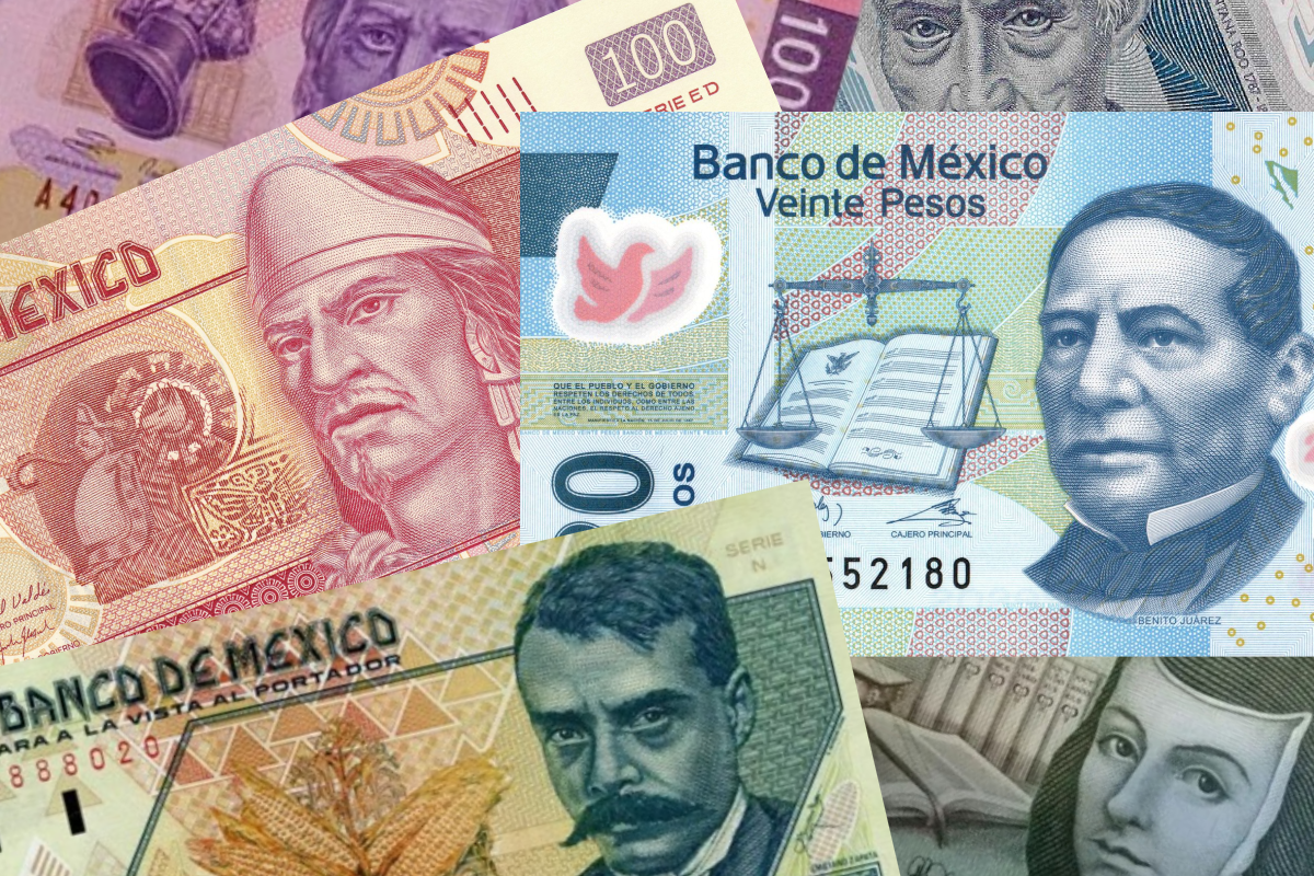 billetes y monedas