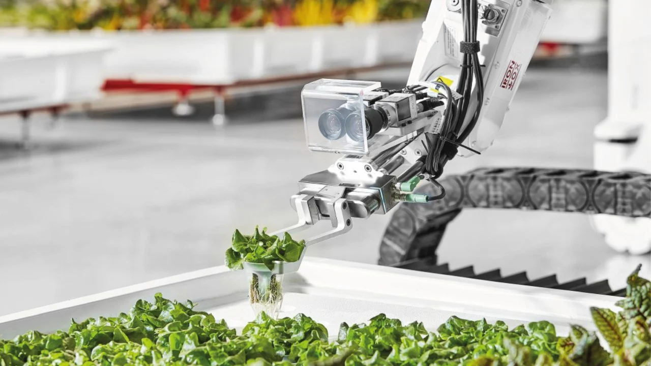 robots agrícolas